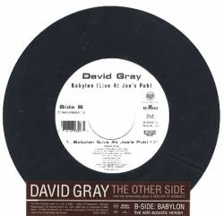 David Gray : The Other Side